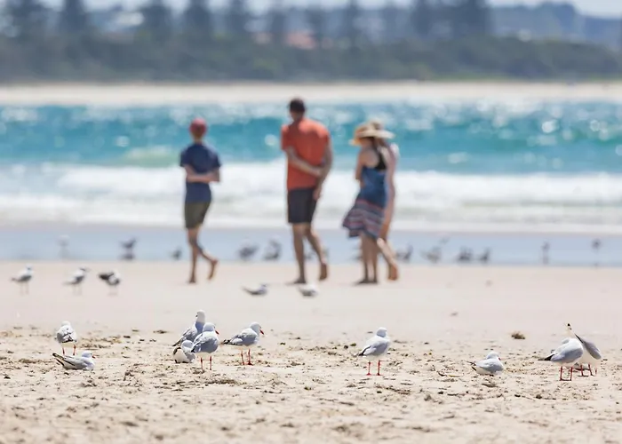 Beach Daze In The Heart Of Kingscliff